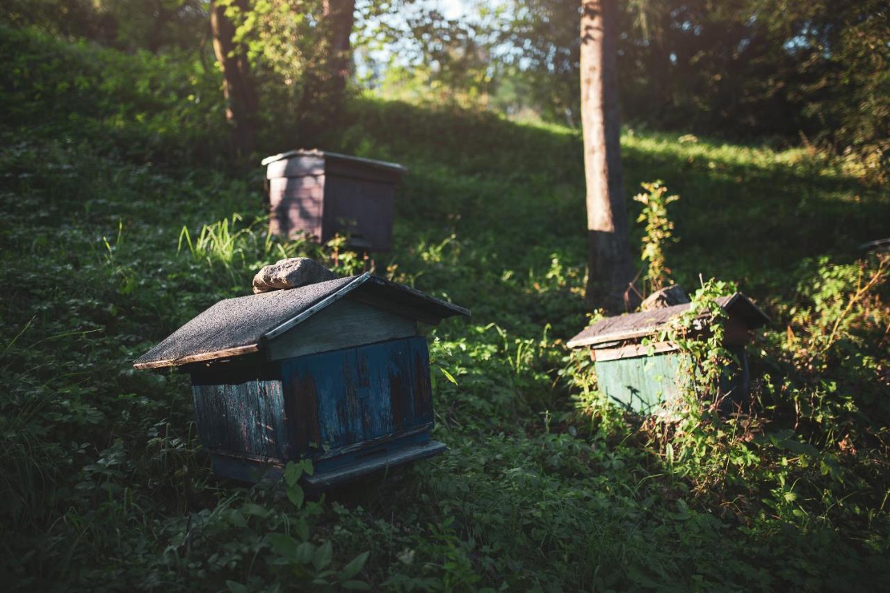 Pasieka - Dom Wypoczynkowy Bacza ภายนอก รูปภาพ