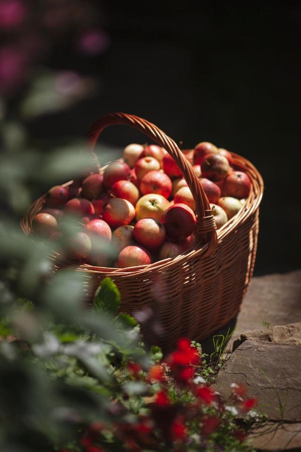 Pasieka - Dom Wypoczynkowy Bacza ภายนอก รูปภาพ